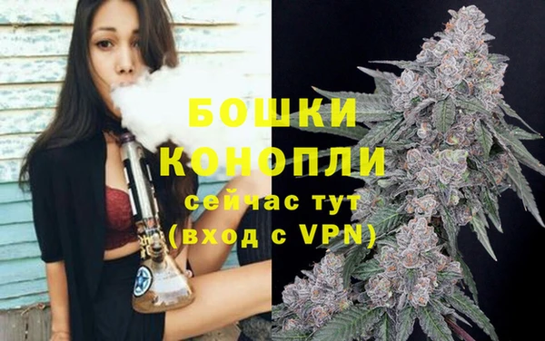 гидра Володарск