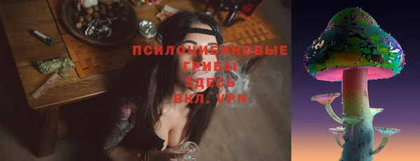 бошки Бородино