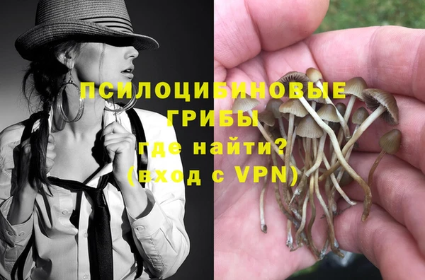 гидра Володарск