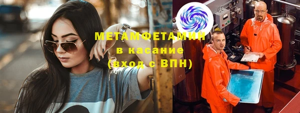 прущие грибы Волоколамск