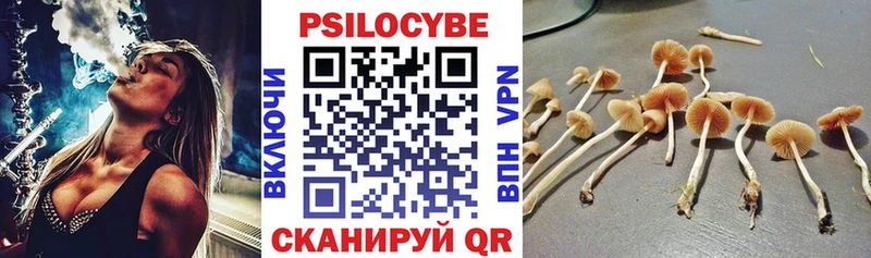 Псилоцибиновые грибы Psilocybine cubensis  где купить наркоту  Жердевка 